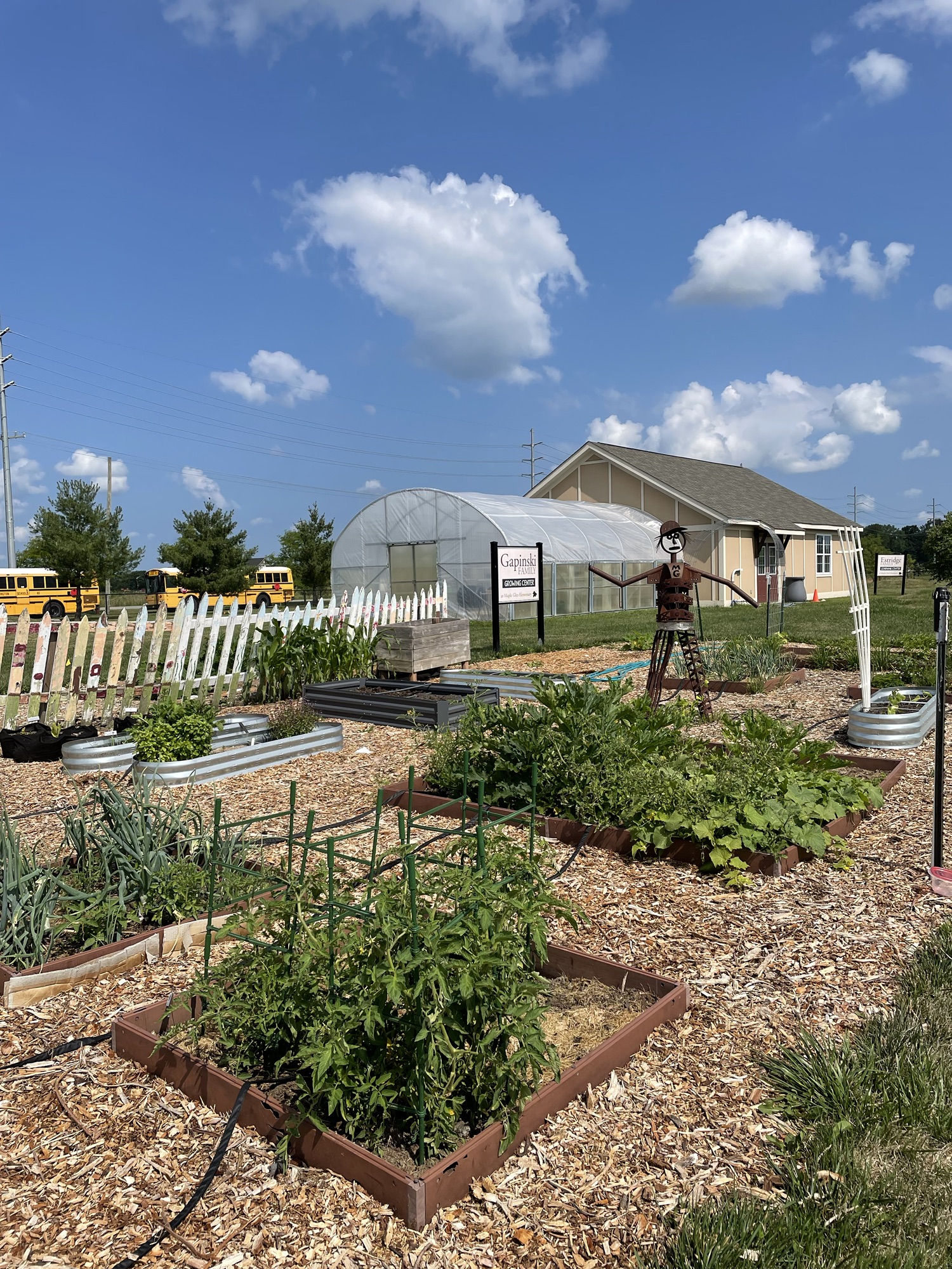 School Gardens - Westfield Green Together